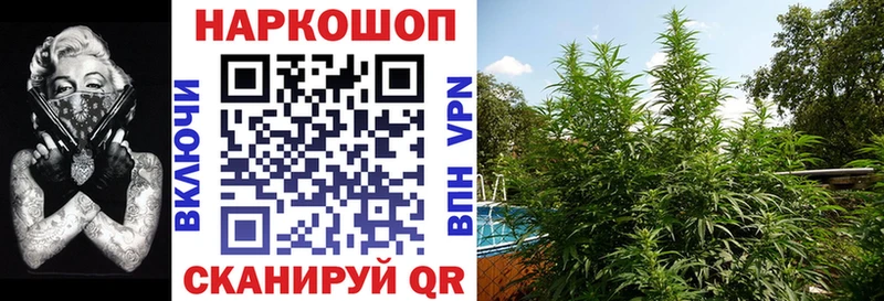 Где купить наркотики Шилка Марихуана Кокаин Alpha PVP Гашиш