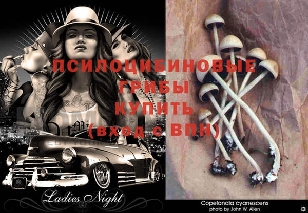 прущие крисы Россошь