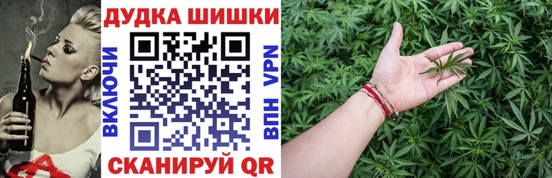 как найти наркотики  Шилка  Каннабис планчик 